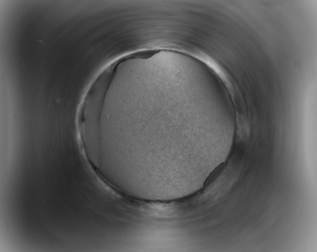 X0000088161102200705291906