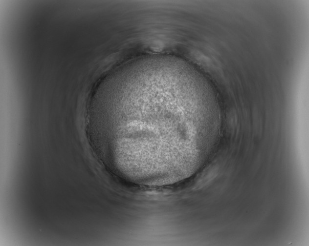 X0000088161105200705291905