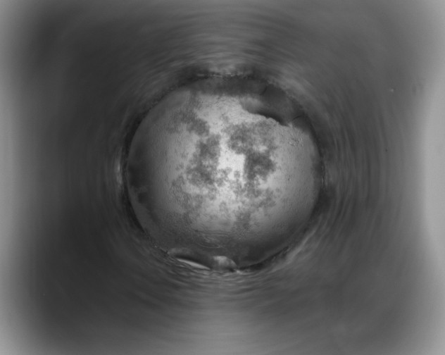 X0000088161106200705291905