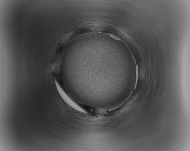 X0000088161108200705291906