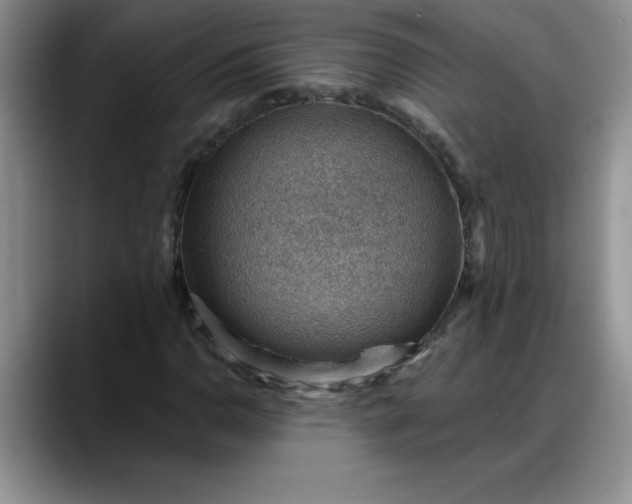 X0000088161110200705291906
