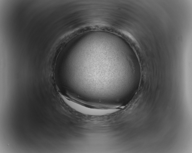 X0000088161112200705291906
