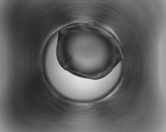 X0000088161114200705291906