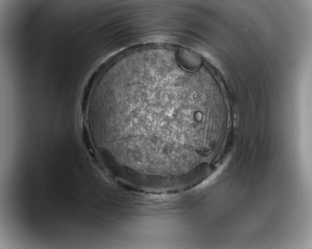 X0000088161117200705291906