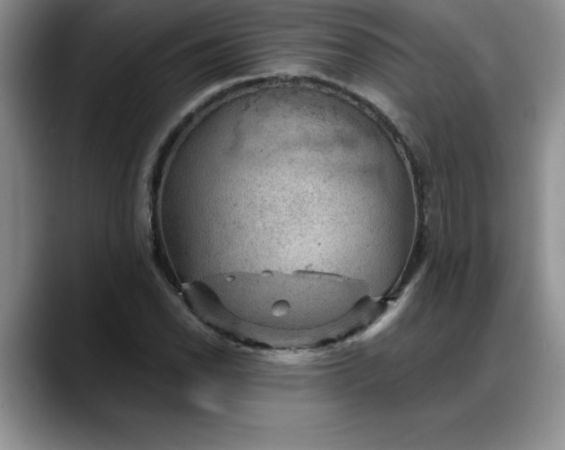 X0000088161118200705291906