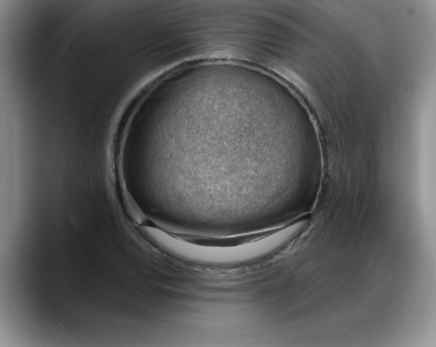X0000088161120200705291906