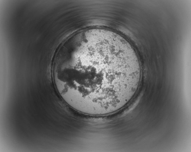 X0000088161121200705291906