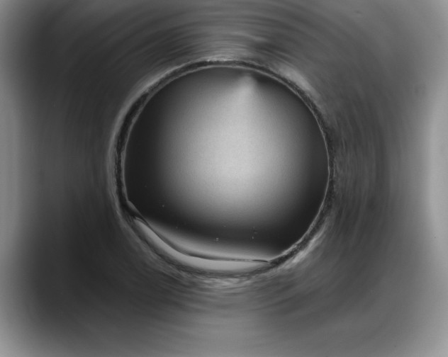 X0000088161122200705291906