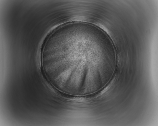 X0000088161123200705291906