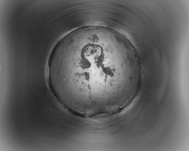 X0000088161125200705291906