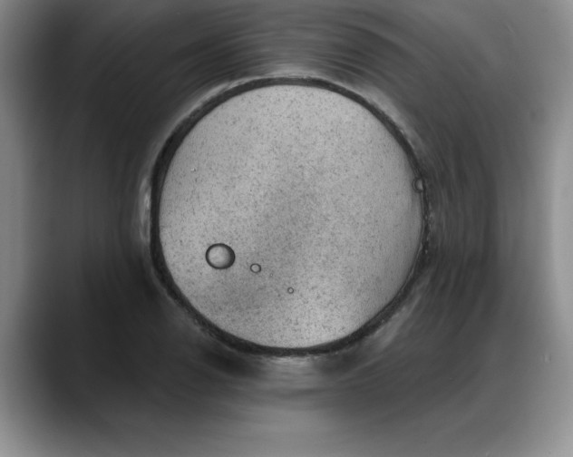 X0000088161126200705291906
