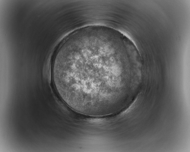X0000088161127200705291906