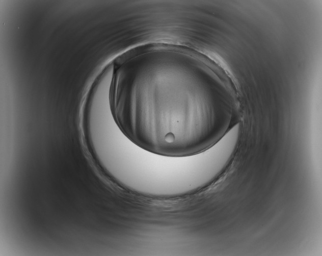 X0000088161128200705291906