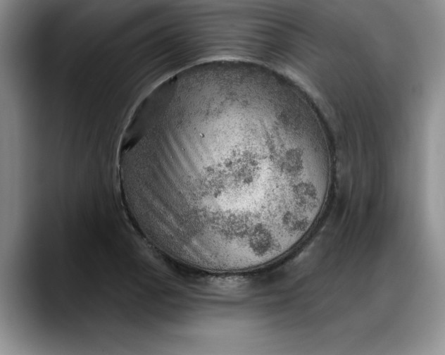 X0000088161129200705291906