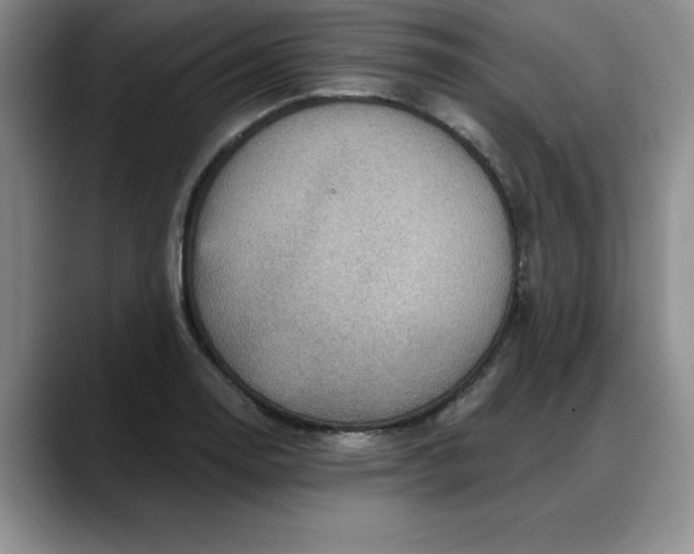 X0000088161130200705291906
