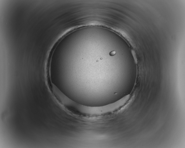 X0000088161134200705291906