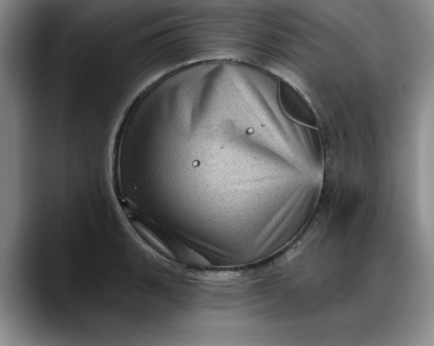X0000088161135200705291906
