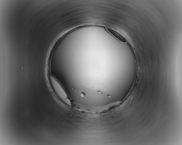 X0000088161136200705291906