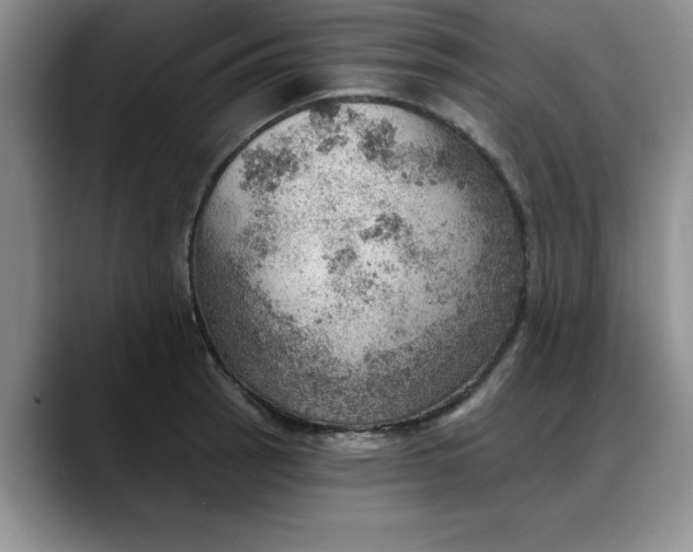 X0000088161137200705291906