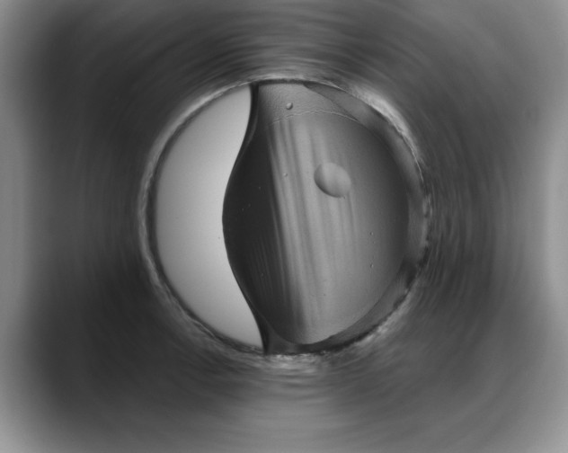 X0000088161138200705291906