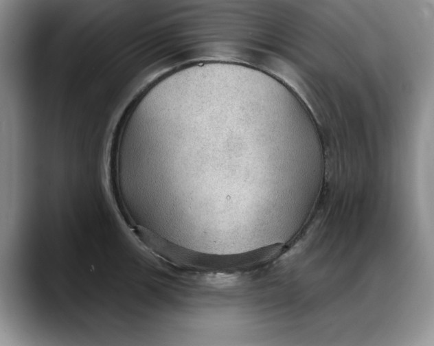 X0000088161139200705291906