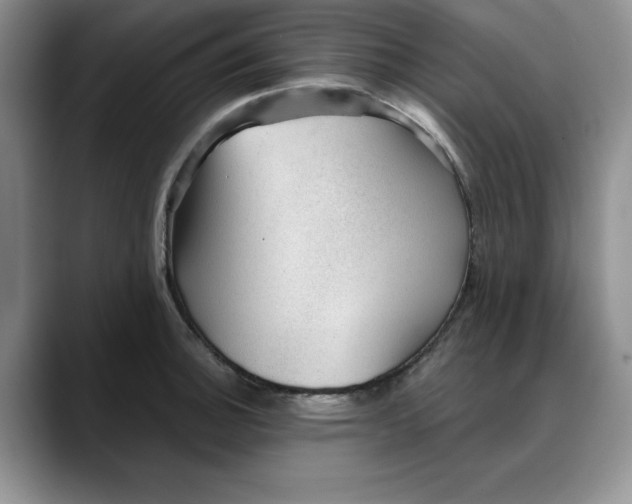 X0000088161140200705291906