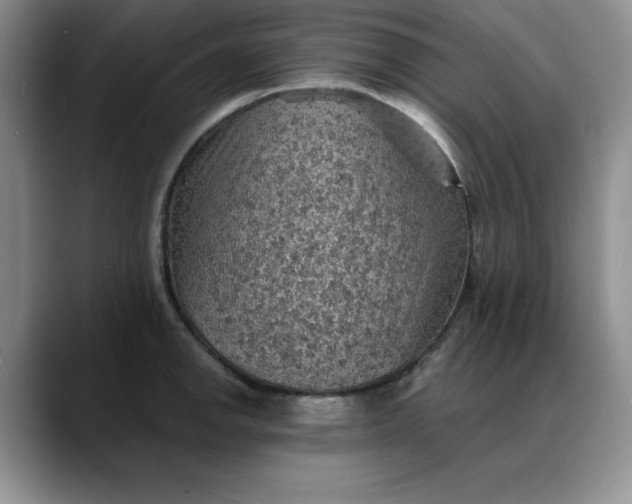 X0000088161142200705291906