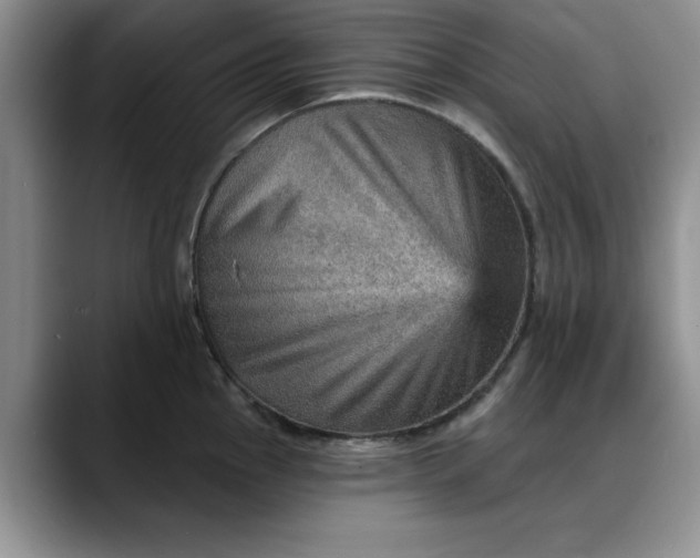X0000088161145200705291906