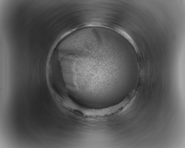 X0000088161146200705291906