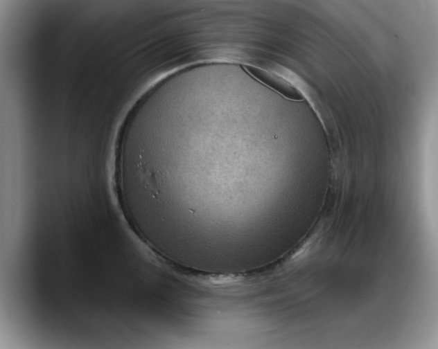 X0000088161147200705291906
