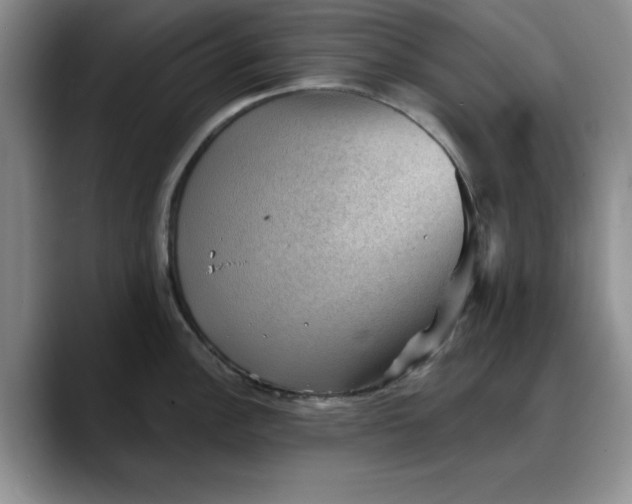 X0000088161148200705291906