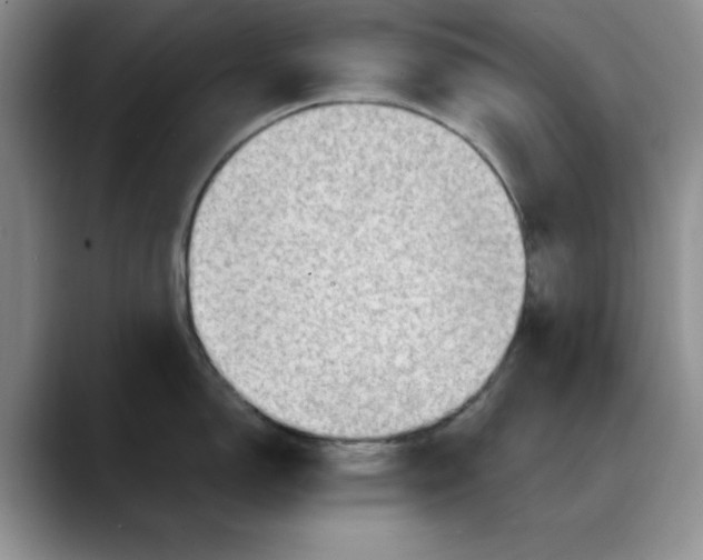 X0000088161150200705291906