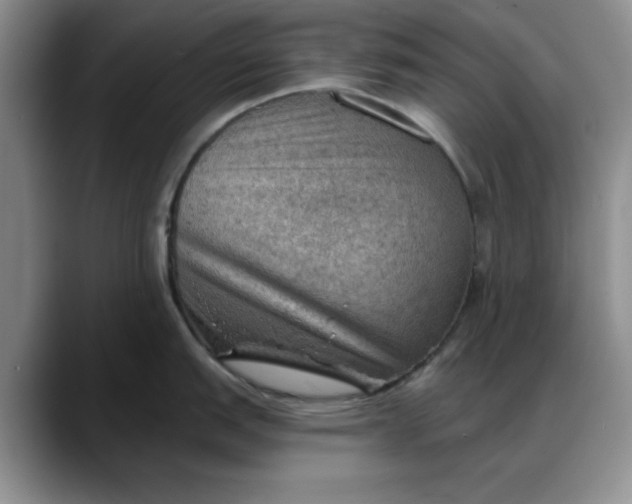 X0000088161151200705291906