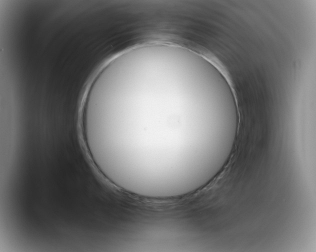 X0000088161152200705291906