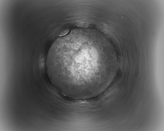 X0000088161154200705291905