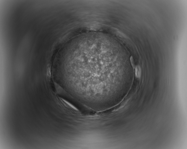 X0000088161155200705291905