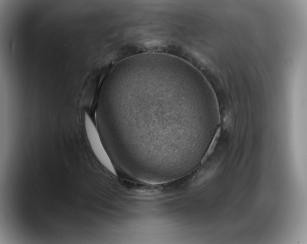 X0000088161156200705291905