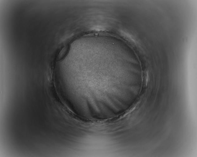 X0000088161158200705291905