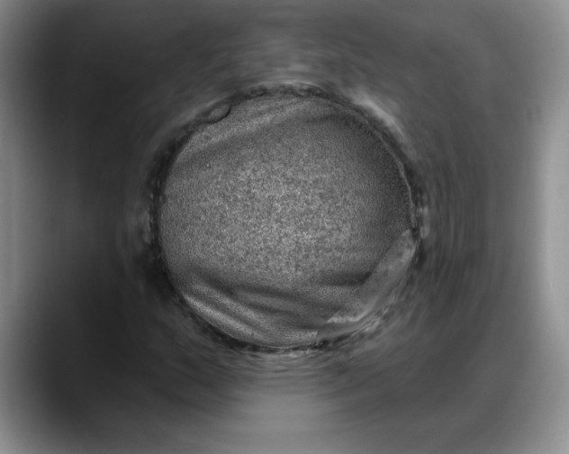 X0000088161159200705291905