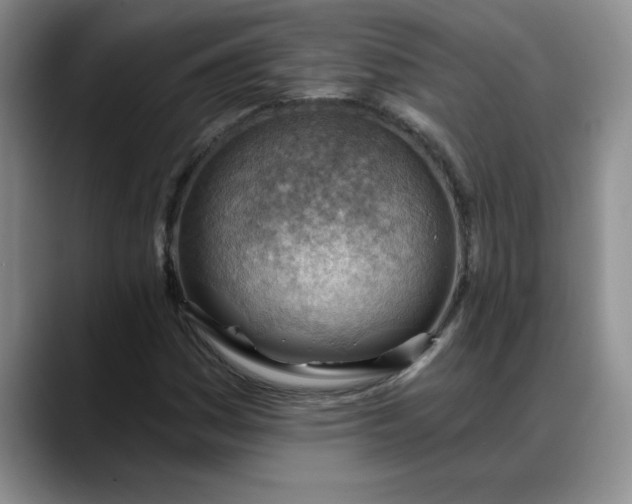 X0000088161161200705291905