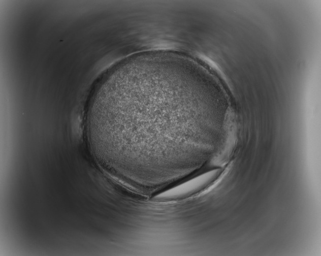 X0000088161163200705291905