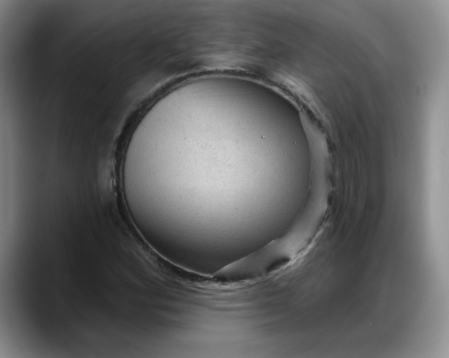 X0000088161164200705291905