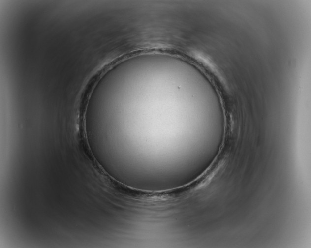 X0000088161165200705291905