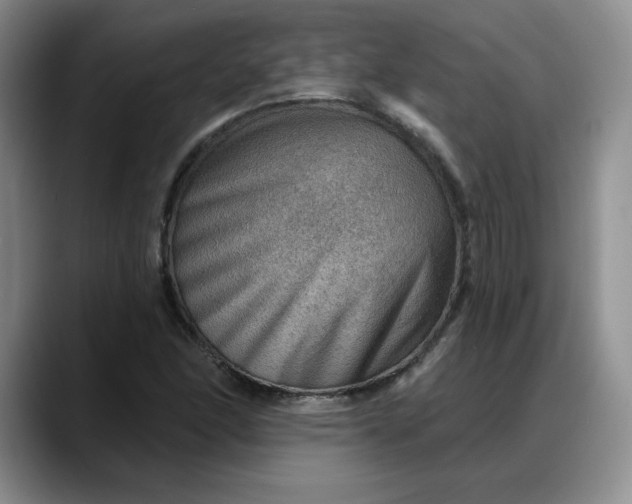 X0000088161166200705291905