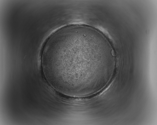 X0000088161167200705291905