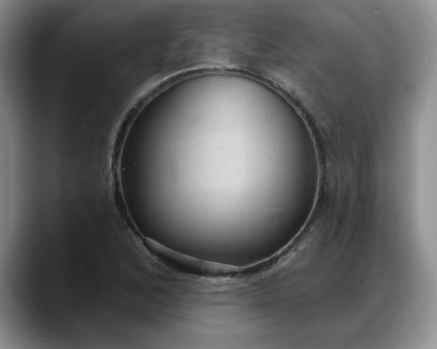 X0000088161168200705291905
