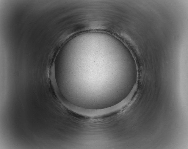 X0000088161169200705291905