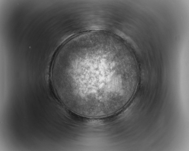X0000088161170200705291905