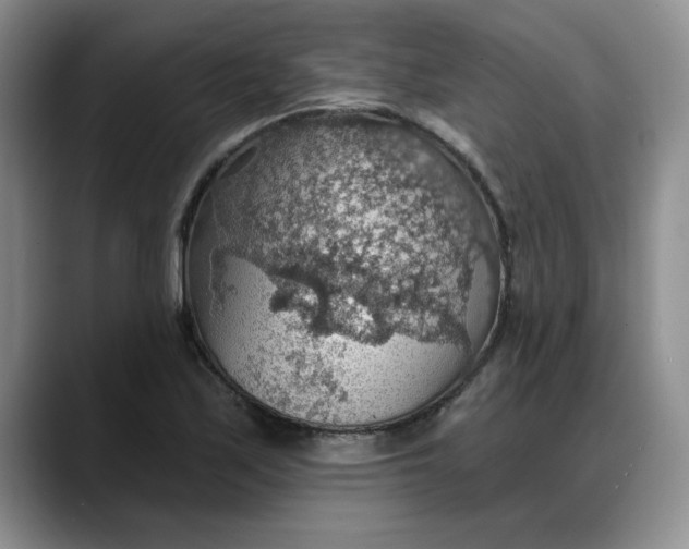 X0000088161171200705291905