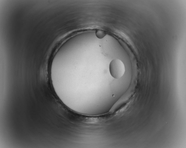 X0000088161172200705291905
